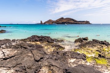 Galapagos: Galaxy Sirus | 6 days