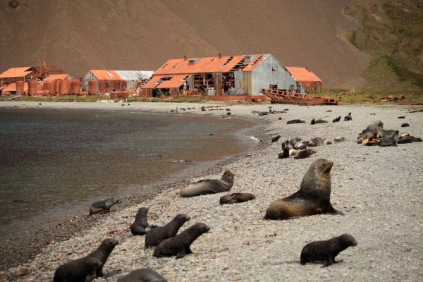 South Georgia's whaling station