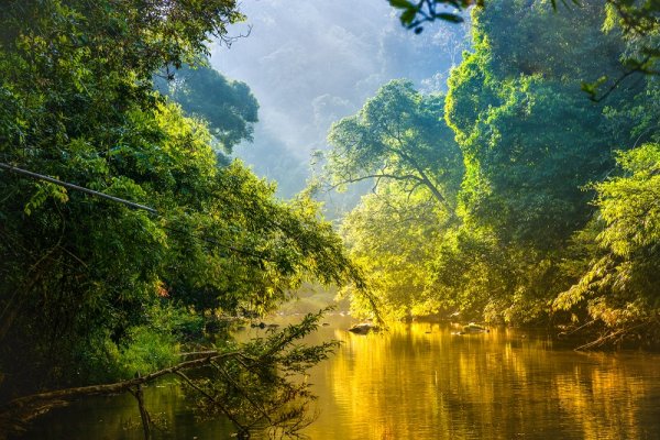 Amazon River, Peru