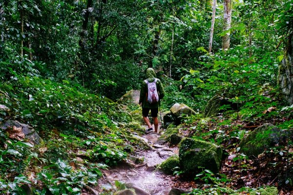 Trekking trip through the Amazon Jungle, North Peru