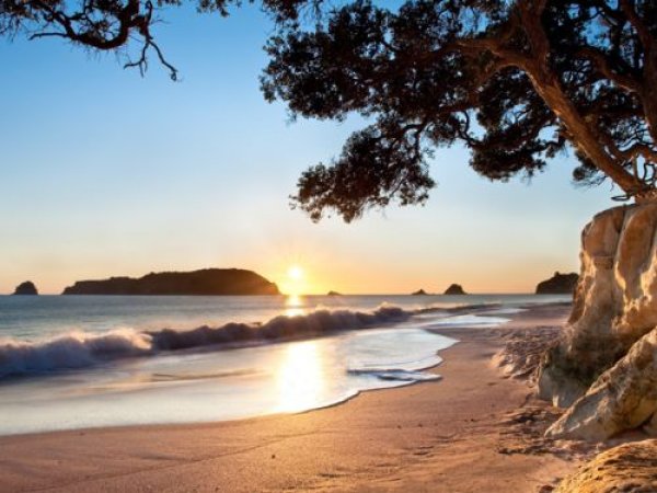 Hahei Beach